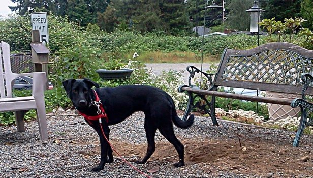 271666_2152624011355_7709743_o